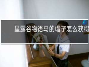 星露谷物语马的帽子怎么获得