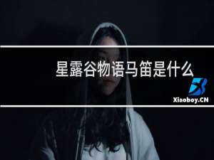 星露谷物语马笛是什么