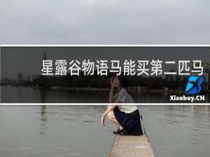 星露谷物语马能买第二匹马