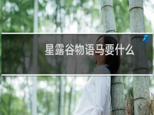 星露谷物语马要什么