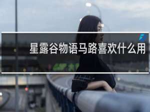星露谷物语马路喜欢什么用