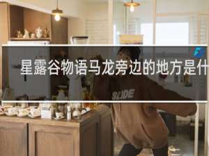 星露谷物语马龙旁边的地方是什么