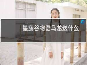 星露谷物语马龙送什么