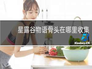 星露谷物语骨头在哪里收集