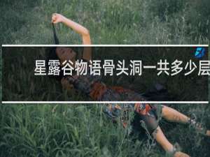 星露谷物语骨头洞一共多少层