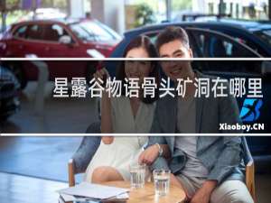 星露谷物语骨头矿洞在哪里