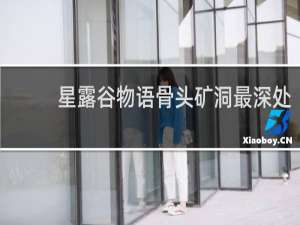 星露谷物语骨头矿洞最深处