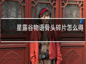 星露谷物语骨头碎片怎么得