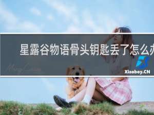 星露谷物语骨头钥匙丢了怎么办