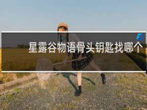 星露谷物语骨头钥匙找哪个