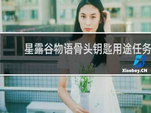 星露谷物语骨头钥匙用途任务