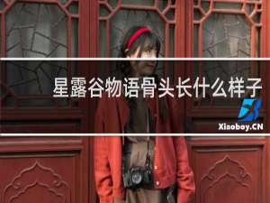 星露谷物语骨头长什么样子