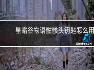 星露谷物语骷髅头钥匙怎么用