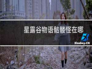 星露谷物语骷髅怪在哪