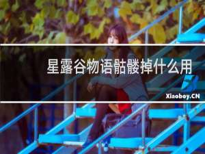 星露谷物语骷髅掉什么用