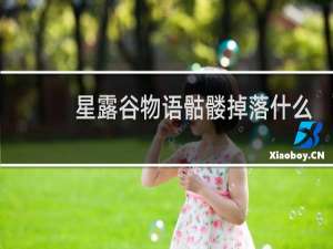 星露谷物语骷髅掉落什么