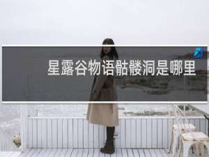 星露谷物语骷髅洞是哪里