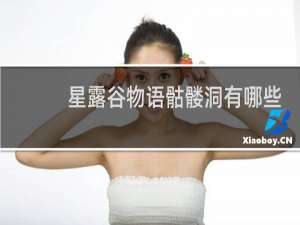 星露谷物语骷髅洞有哪些