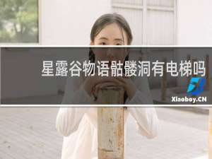 星露谷物语骷髅洞有电梯吗