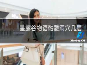 星露谷物语骷髅洞穴几层
