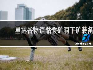 星露谷物语骷髅矿洞下矿装备