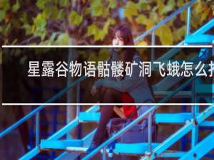 星露谷物语骷髅矿洞飞蛾怎么打