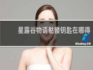 星露谷物语骷髅钥匙在哪得