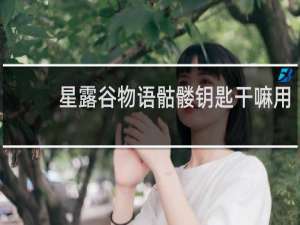 星露谷物语骷髅钥匙干嘛用