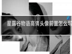 星露谷物语高清头像前置怎么导入