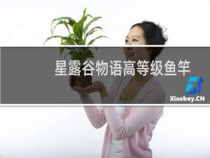 星露谷物语高等级鱼竿