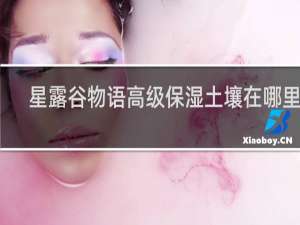 星露谷物语高级保湿土壤在哪里买