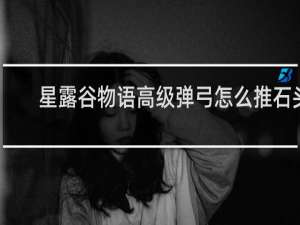 星露谷物语高级弹弓怎么推石头