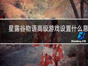 星露谷物语高级游戏设置什么意思