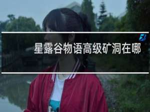 星露谷物语高级矿洞在哪