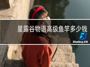 星露谷物语高级鱼竿多少钱