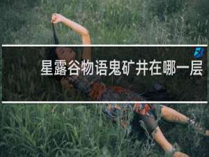星露谷物语鬼矿井在哪一层