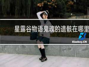 星露谷物语鬼魂的遗骸在哪里