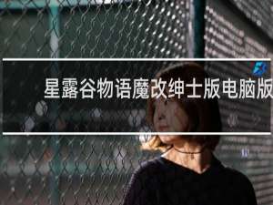 星露谷物语魔改绅士版电脑版
