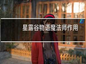 星露谷物语魔法师作用