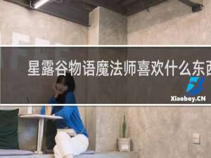 星露谷物语魔法师喜欢什么东西