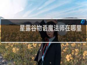 星露谷物语魔法师在哪里
