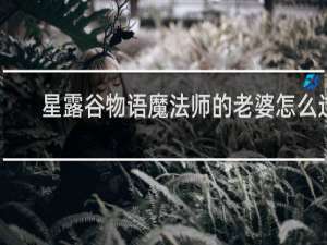 星露谷物语魔法师的老婆怎么过