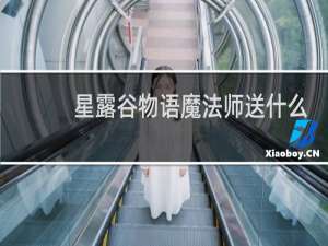 星露谷物语魔法师送什么