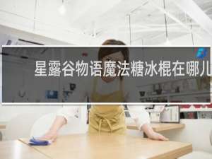 星露谷物语魔法糖冰棍在哪儿