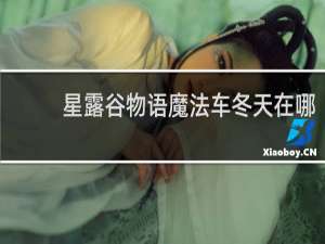 星露谷物语魔法车冬天在哪