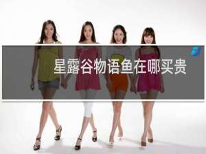 星露谷物语鱼在哪买贵