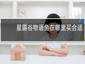 星露谷物语鱼在哪里买合适