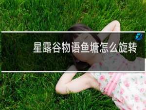 星露谷物语鱼塘怎么旋转