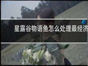 星露谷物语鱼怎么处理最经济