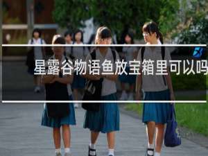 星露谷物语鱼放宝箱里可以吗